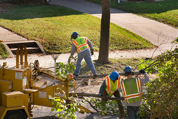 Best Tree and Shrub Care  in Pennsburg, PA