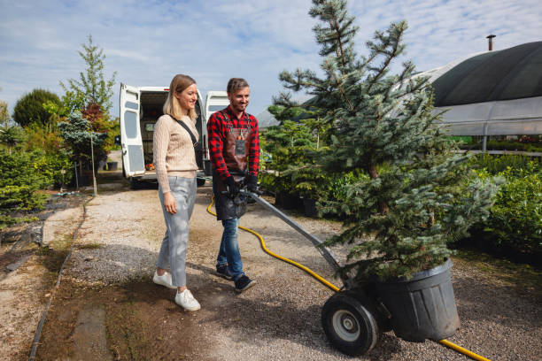 Best Tree Trimming and Pruning  in Pennsburg, PA